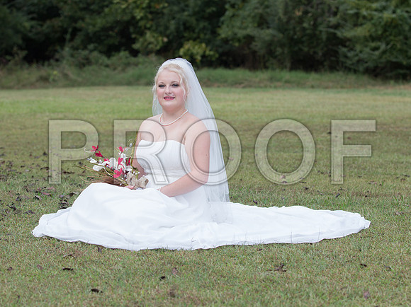 image-329