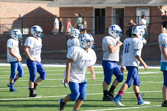 image-31