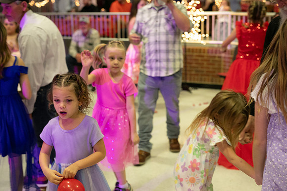 DDD2025-0558