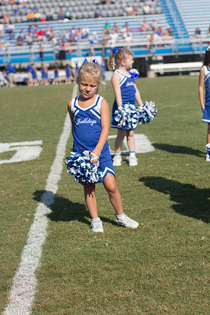image-48