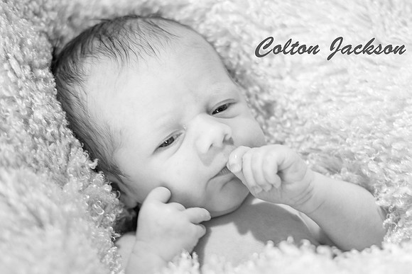 IMG_8786-Edit